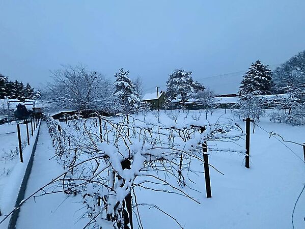 Eladó földterület Fót