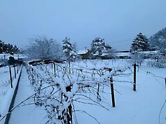 Eladó földterület Fót