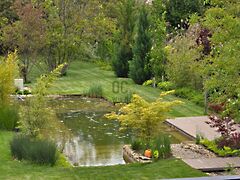 Kiadó lakás Budapest, XVI. kerület