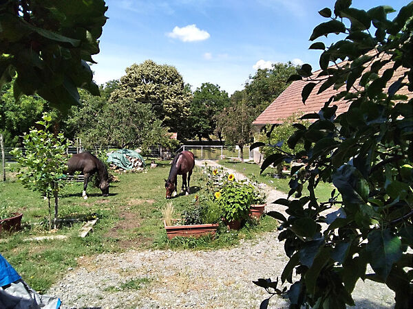 Eladó ház Somogyhárságy