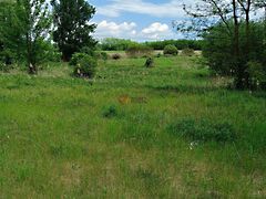 Eladó földterület Őrbottyán