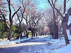 Eladó lakás Budapest, XII. kerület, Orbánhegy