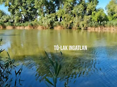 Eladó földterület Gyomaendrőd