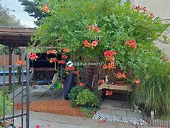 Eladó lakás Budapest, III. kerület