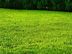 Eladó földterület Siófok