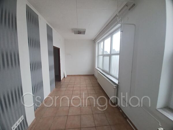 Kiadó üzleti Kóny