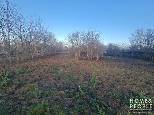 Eladó földterület Hódmezővásárhely