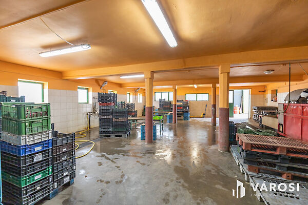 Eladó ipari Makó