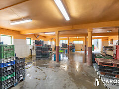 Eladó ipari Makó