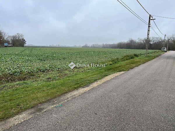 Eladó földterület Lébény