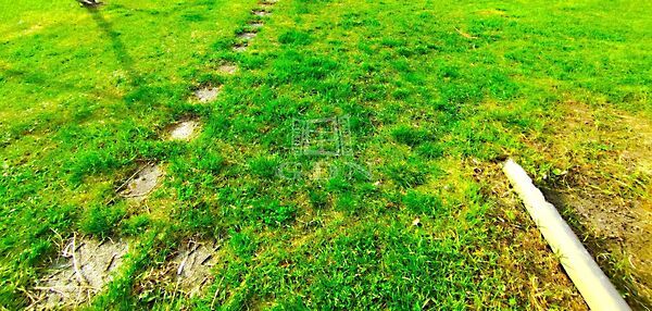 Eladó földterület Kistarcsa