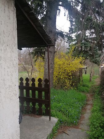 Eladó nyaraló Vértesszőlős