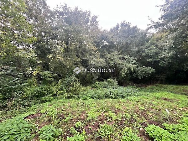 Eladó földterület Cserkút