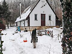 Eladó ház Vértestolna