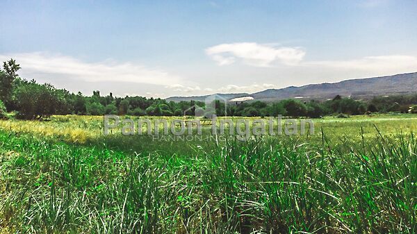 Eladó földterület Várvölgy