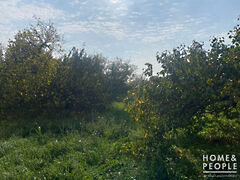 Eladó földterület Hódmezővásárhely