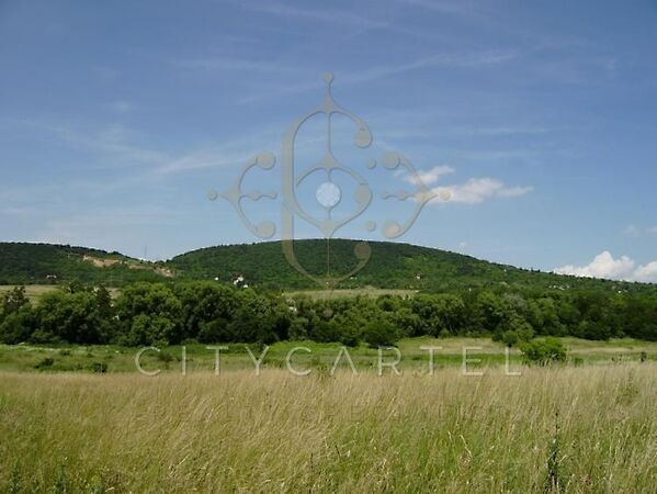 Eladó földterület Budakeszi