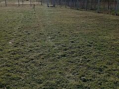 Eladó földterület Látrány