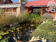 Eladó ház Rácalmás