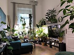 Eladó lakás Budapest, I. kerület