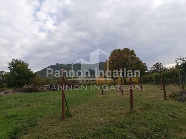 Eladó földterület Somlószőlős