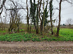 Eladó földterület Nemesbük