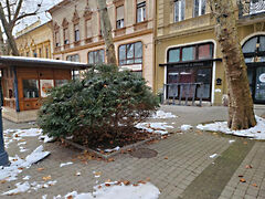 Kiadó Array Kaposvár, Belváros