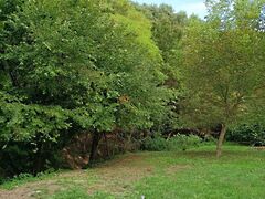 Eladó földterület Zebegény