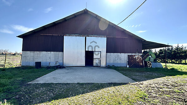 Eladó földterület Berekböszörmény