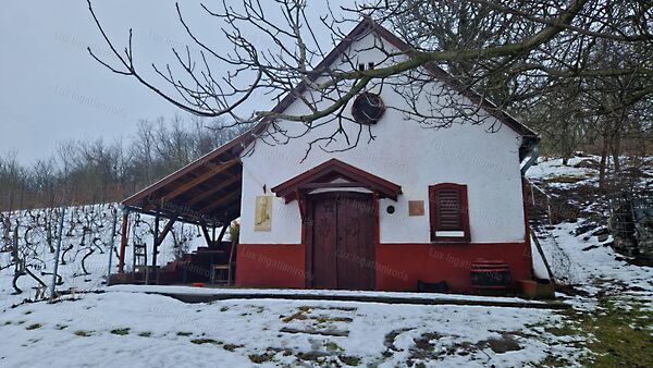 Eladó földterület Tokod