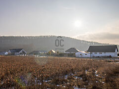 Eladó földterület Fertőrákos