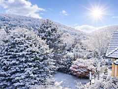 Eladó ház Budapest, II. kerület