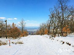 Eladó földterület Szentendre