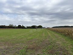 Eladó földterület Abda