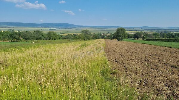 Eladó földterület Tök