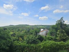 Eladó ház Budakeszi