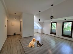 Kiadó lakás Kecskemét, Bethlenváros