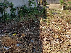 Eladó földterület Páty