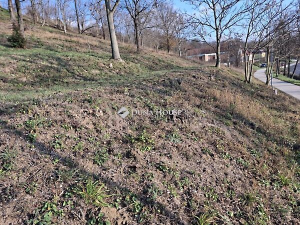 Eladó földterület Csabdi