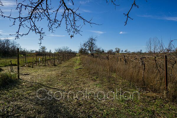Eladó földterület Mórichida