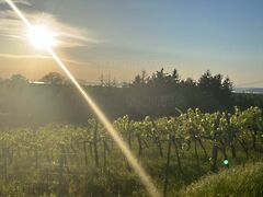 Eladó földterület Balatonlelle