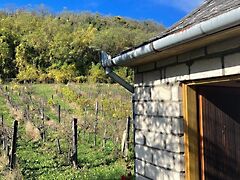 Eladó nyaraló Zalaszentgrót