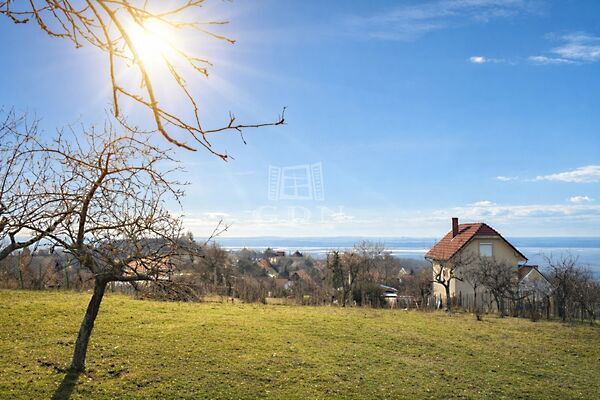 Eladó földterület Pákozd