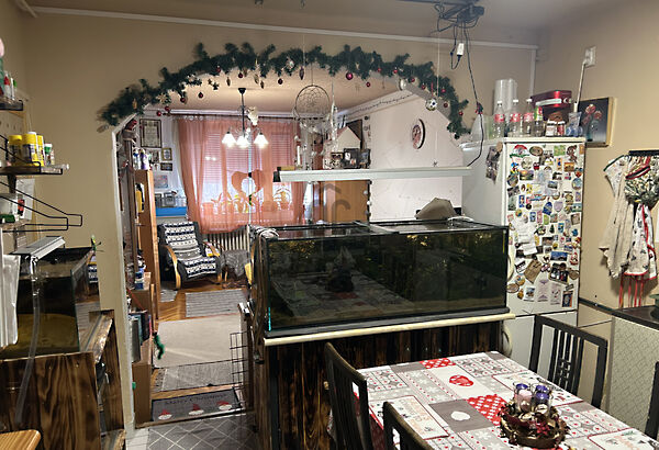 Eladó lakás Kisvárda