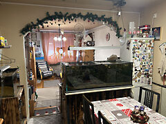 Eladó lakás Kisvárda