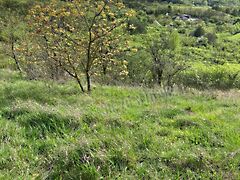 Eladó földterület Vác