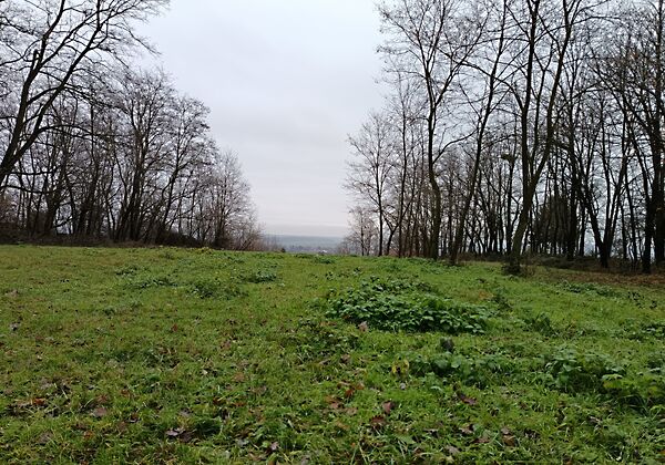 Eladó földterület Lukácsháza