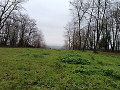 Eladó földterület Lukácsháza