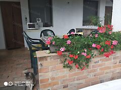 Eladó üzleti Tiszavárkony