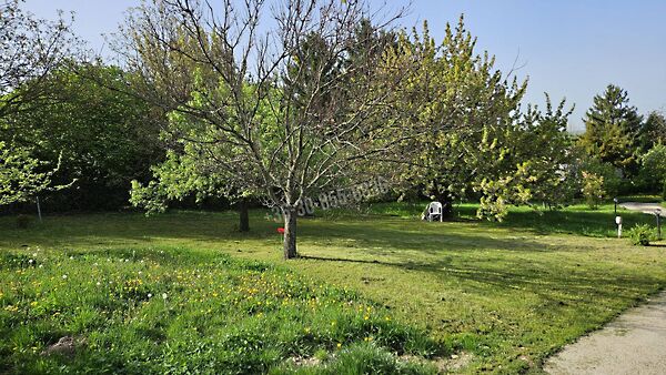Eladó földterület Budakeszi